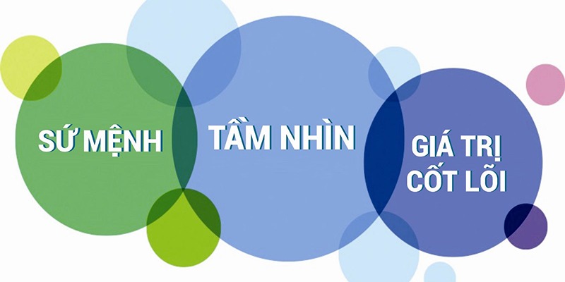 giới thiệu 79king tầm nhìn