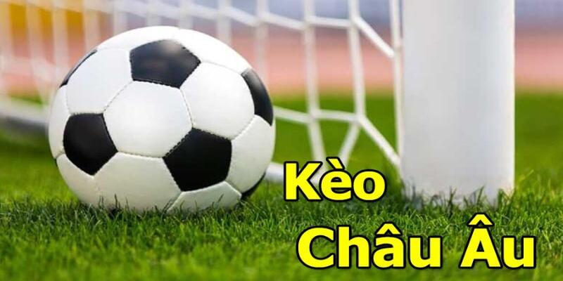 kèo 1x2 nhập môn cách chơi