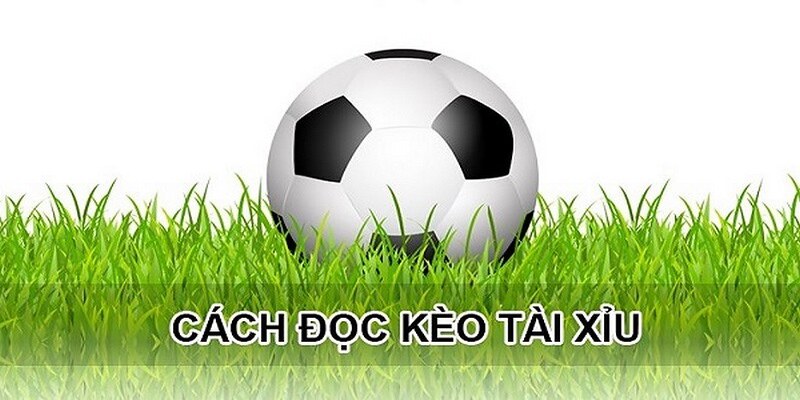 kèo tài xỉu đọc kèo 1 1/4