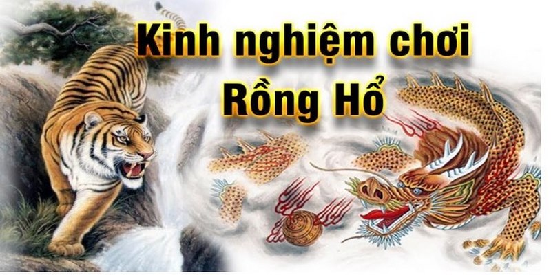 Rồng hổ 79King mẹo chơi rồng hổ